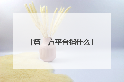 第三方平台指什么
