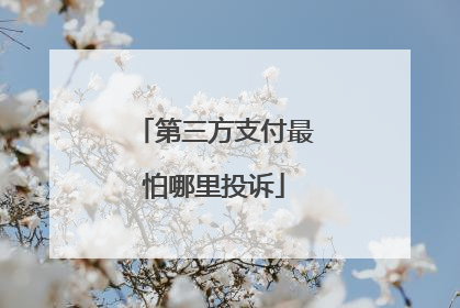 第三方支付最怕哪里投诉