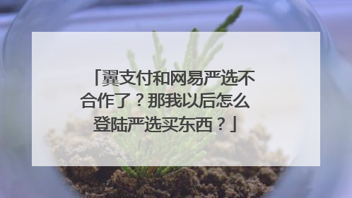 翼支付和网易严选不合作了?那我以后怎么登陆严选买东西?