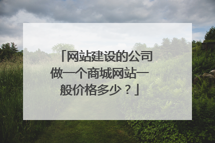 网站建设的公司做一个商城网站一般价格多少?