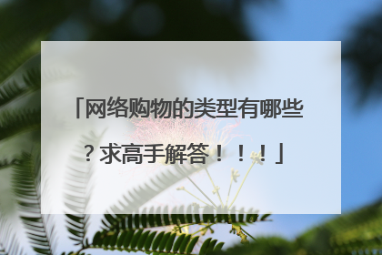 网络购物的类型有哪些？求高手解答！！！