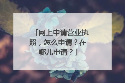 网上申请营业执照,怎么申请?在哪儿申请?
