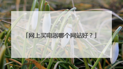 网上买电器哪个网站好?