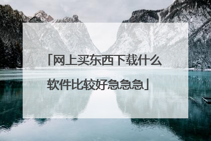 网上买东西下载什么软件比较好急急急