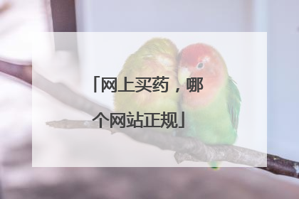 网上买药,哪个网站正规