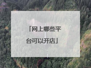 网上哪些平台可以开店