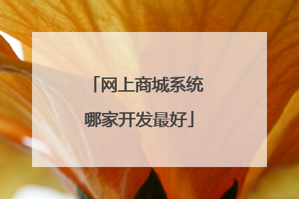 网上商城系统哪家开发最好