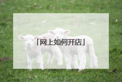 网上如何开店