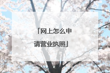 网上怎么申请营业执照