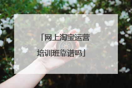网上淘宝运营培训班靠谱吗