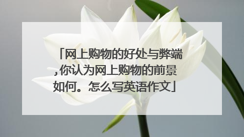 网上购物的好处与弊端,你认为网上购物的前景如何。怎么写英语作文