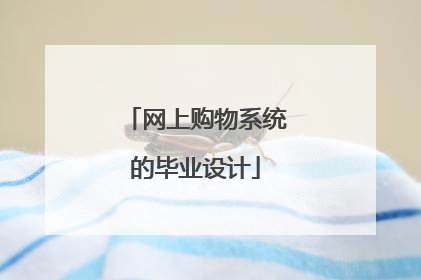 网上购物系统的毕业设计