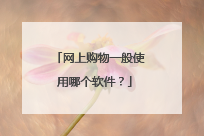 网上购物一般使用哪个软件?