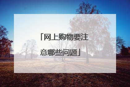 网上购物要注意哪些问题
