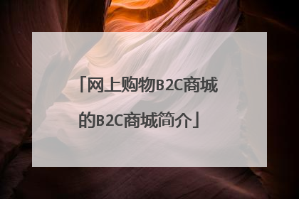 网上购物B2C商城的B2C商城简介