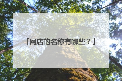 网店的名称有哪些？