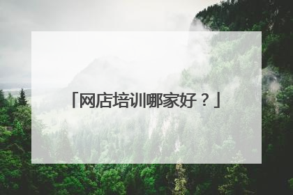 网店培训哪家好?