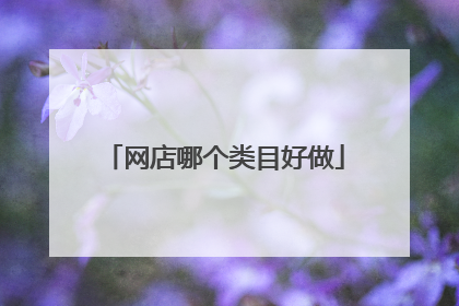 网店哪个类目好做