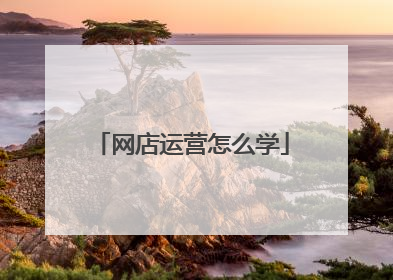 网店运营怎么学