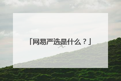 网易严选是什么?