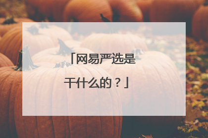 网易严选是干什么的?