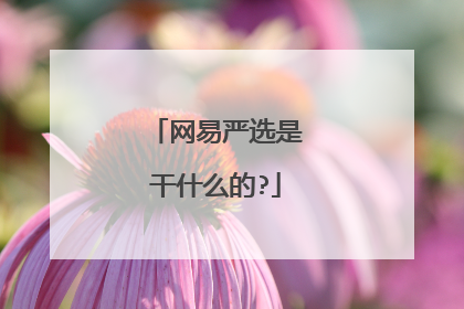 网易严选是干什么的?