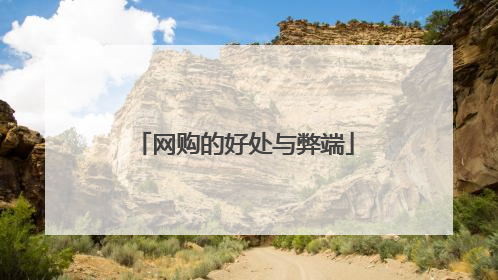 网购的好处与弊端