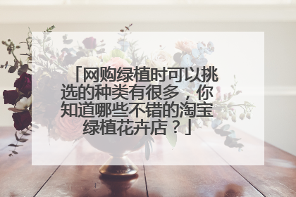 网购绿植时可以挑选的种类有很多,你知道哪些不错的淘宝绿植花卉店?