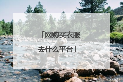 网购买衣服去什么平台