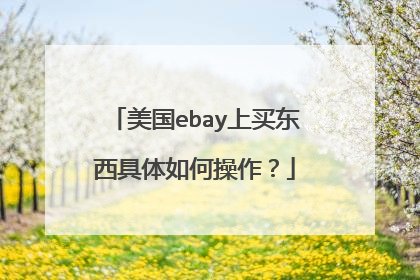 美国ebay上买东西具体如何操作?
