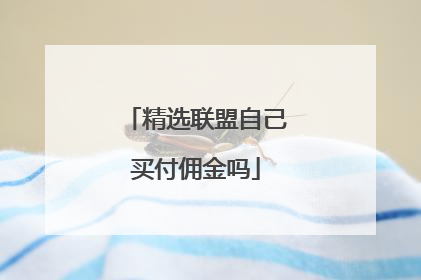 精选联盟自己买付佣金吗