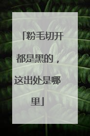 粉毛切开都是黑的,这出处是哪里