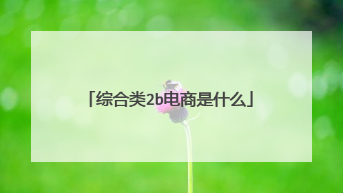 综合类2b电商是什么