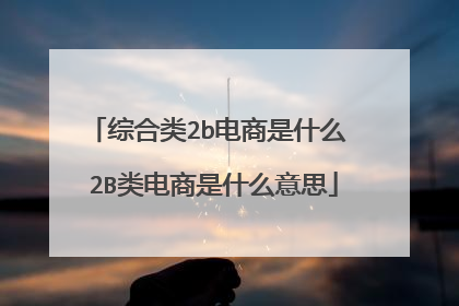 综合类2b电商是什么 2B类电商是什么意思