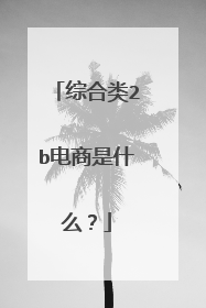 综合类2b电商是什么?