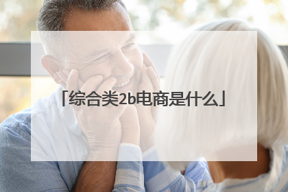 综合类2b电商是什么
