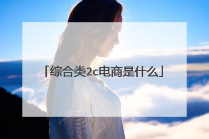 综合类2c电商是什么