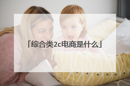 综合类2c电商是什么