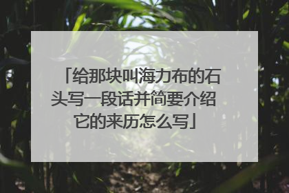 给那块叫海力布的石头写一段话并简要介绍它的来历怎么写