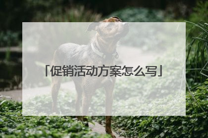 促销活动方案怎么写