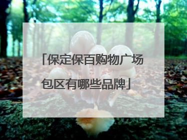 保定保百购物广场包区有哪些品牌