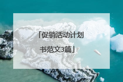 促销活动计划书范文3篇