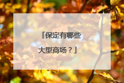 保定有哪些大型商场?