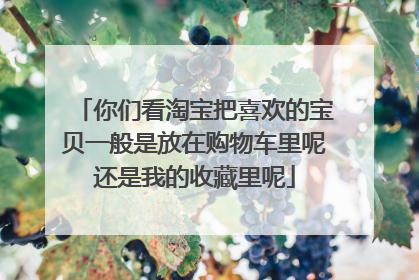 你们看淘宝把喜欢的宝贝一般是放在购物车里呢还是我的收藏里呢