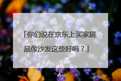 你们说在京东上买家居品像沙发这些好吗?