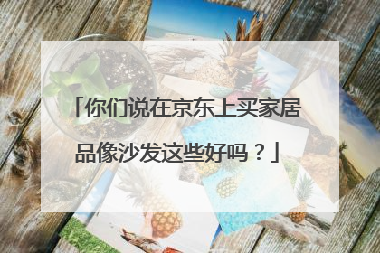 你们说在京东上买家居品像沙发这些好吗?
