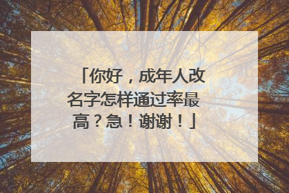 你好,成年人改名字怎样通过率最高?急!谢谢!