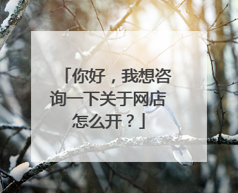 你好,我想咨询一下关于网店怎么开?