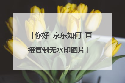 你好 京东如何 直接复制无水印图片
