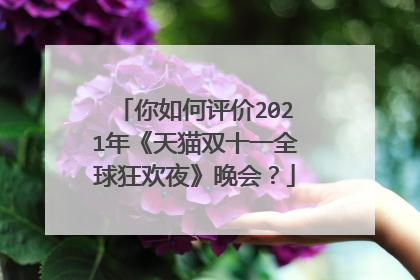 你如何评价2021年《天猫双十一全球狂欢夜》晚会？